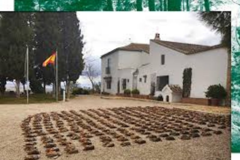 Spectacular DUCKS and RED PARTRIDGE¡¡.  Small game combo trip in Spain.SPECIAL OFFER FOR GROUPS